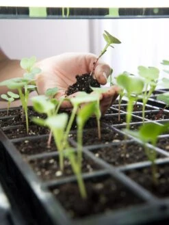 LED Stack-n-Grow Lights - Base Unit -Garden Serie Store 8595770 7373 tif