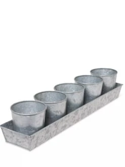 Galvanized Herb Planters With Rectangular Tray -Garden Serie Store 8595903 3924 tif