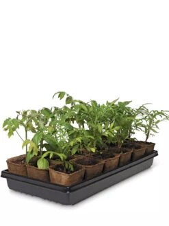 3-1/2” Square Biodegradable Pots & Tray Set -Garden Serie Store 8595968 3916 tif