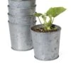 Galvanized Planting Cups, Set Of 5 1 Galvanized Planting Cups, Set Of 5 -Garden Serie Store 8596104 9899 tif