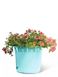 Eezy Gro Self-Watering Planters -Garden Serie Store 8596426 103 tif