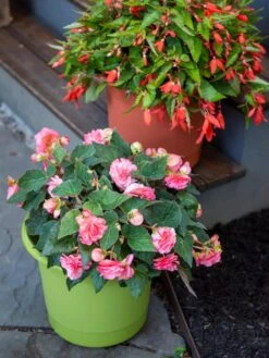 Eezy Gro Self-Watering Planters -Garden Serie Store 8596427 0034 tif