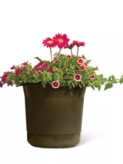 Eezy Gro Self-Watering Planters -Garden Serie Store 8596427 108 tif