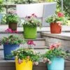 Eezy Gro Self-Watering Planters -Garden Serie Store 8596427 5498 tif