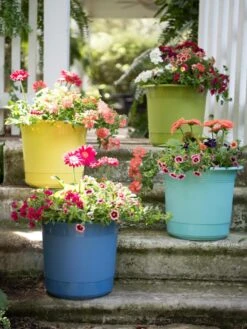 Eezy Gro Self-Watering Planters -Garden Serie Store 8596427 8090 tif