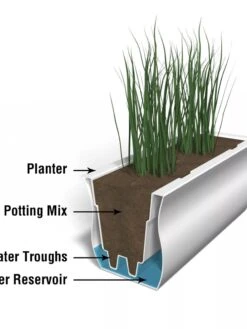 Valencia Window Box, 3' -Garden Serie Store 8596436 17V tif