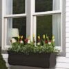 Valencia Window Box, 3' 2 Valencia Window Box, 3' -Garden Serie Store 8596436 7496 tif