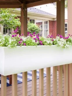 Valencia Window Box, 4' 11 Valencia Window Box, 4' -Garden Serie Store 8596437 006V tif