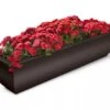 Valencia Window Box, 4' -Garden Serie Store 8596437 10V tif