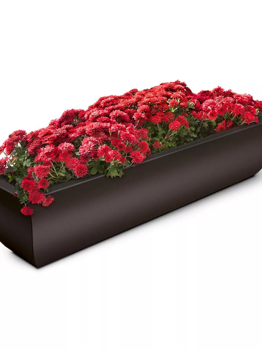 Valencia Window Box, 4' 3 Valencia Window Box, 4'