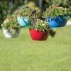 Viva Self-Watering Hanging Basket, 14" Diameter 1 Viva Self-Watering Hanging Basket, 14" Diameter -Garden Serie Store 8596442 0851 tif