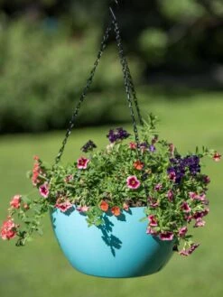 Viva Self-Watering Hanging Basket, 14" Diameter 10 Viva Self-Watering Hanging Basket, 14" Diameter -Garden Serie Store 8596442 0859 tif