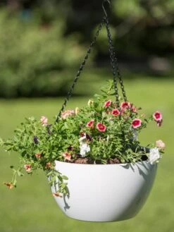 Viva Self-Watering Hanging Basket, 14" Diameter 9 Viva Self-Watering Hanging Basket, 14" Diameter -Garden Serie Store 8596442 0864 tif