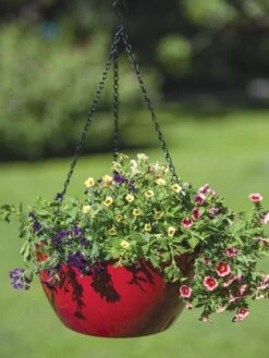 Viva Self-Watering Hanging Basket, 14" Diameter 8 Viva Self-Watering Hanging Basket, 14" Diameter -Garden Serie Store 8596442 0866 tif