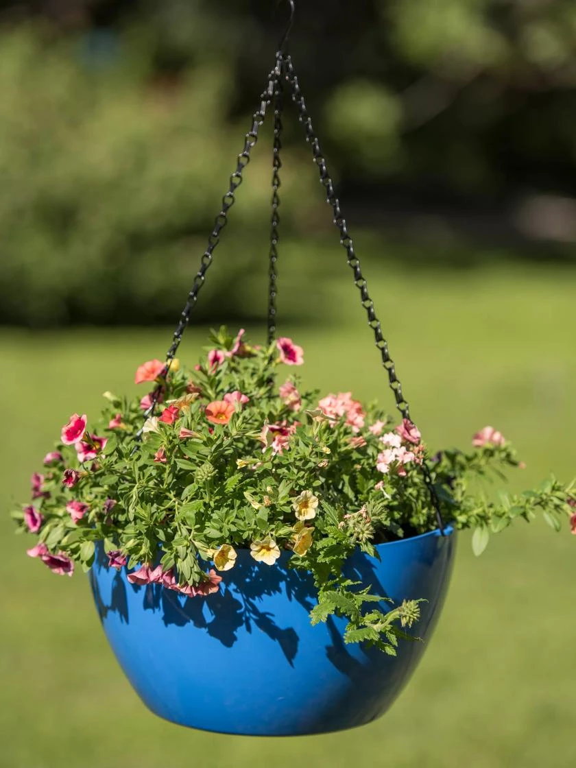 Viva Self-Watering Hanging Basket, 14" Diameter 7 Viva Self-Watering Hanging Basket, 14" Diameter - Image 5