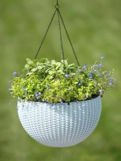 Weave Self-Watering Hanging Basket, 14" -Garden Serie Store 8596490 10307 tif
