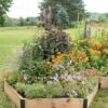 Pollinator Garden Bed -Garden Serie Store 8597000 4103 tif