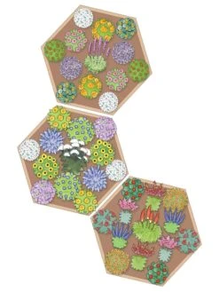 Pollinator Garden Bed -Garden Serie Store 8597000 Hummingbird Plan tif