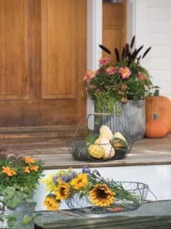 Galvanized Rim Planters -Garden Serie Store 8597379 1625 tif