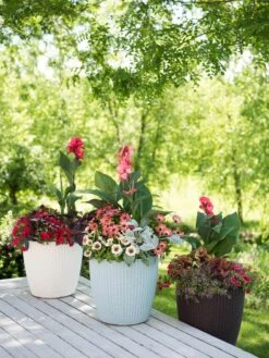 Weave Self-Watering Round Planter, 14" -Garden Serie Store 8597388 2141 tif