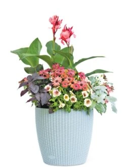 Weave Self-Watering Round Planter, 14" -Garden Serie Store 8597388 2175 tif