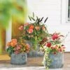 Galvanized Ribbed Planters -Garden Serie Store 8597436 1680 tif