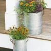 Galvanized Rim Planters 1 Galvanized Rim Planters -Garden Serie Store 8597442 1700 tif