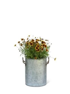 Galvanized Rim Planters -Garden Serie Store 8597442 1705 tif