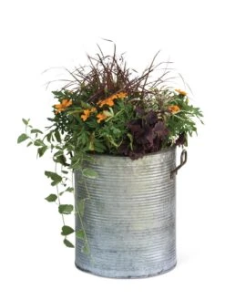 Galvanized Rim Planters -Garden Serie Store 8597443 1704 tif