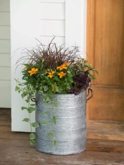 Galvanized Rim Planters -Garden Serie Store 8597443 1708 tif