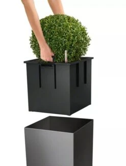 Lechuza® Cube Premium Planters -Garden Serie Store 8597506 04V tif
