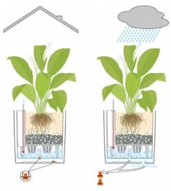 Lechuza® Cube Premium Planters -Garden Serie Store 8597506 05V tif