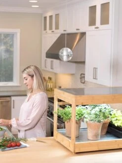 Low Bamboo LED Grow Light Garden -Garden Serie Store 8597720 0816 tif