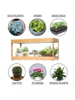 Low Bamboo LED Grow Light Garden -Garden Serie Store 8597720 3