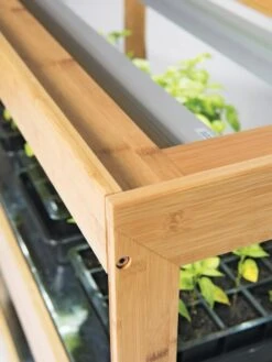 Medium Bamboo LED Grow Light Garden -Garden Serie Store 8597720 7795 tif