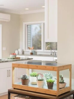 Low Bamboo LED Grow Light Garden -Garden Serie Store 8597720 9385 tif