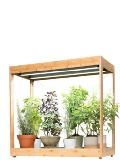 Medium Bamboo LED Grow Light Garden -Garden Serie Store 8597883 1011 tif