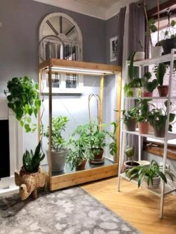 Tall Bamboo LED Grow Light Garden -Garden Serie Store 8597884 01IN tif