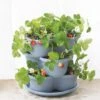 Stacking Strawberry Pot 2 Stacking Strawberry Pot -Garden Serie Store 8597996 9004 tif
