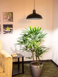 Barnyard Pendant LED Grow Light -Garden Serie Store 8598025 0256