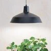 Barnyard Pendant LED Grow Light 2 Barnyard Pendant LED Grow Light -Garden Serie Store 8598025 8139 tif