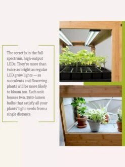 Bamboo LED Grow Light Garden For Succulents And Seeds -Garden Serie Store 8598084 7