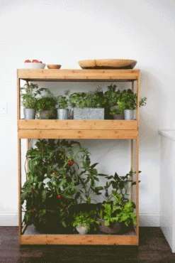 Bamboo Home LED Grow Light Garden -Garden Serie Store 8598088 BambooLEDHomeGarden light gif