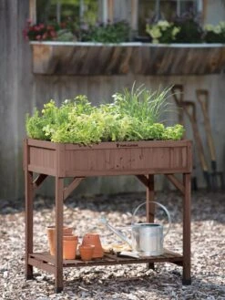 VegTrug® Herb Planter Box -Garden Serie Store 8598287 00037 tif