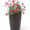 Weave Self-Watering Round Tall Planter, 12-1/2" -Garden Serie Store 8598371 3000 tif