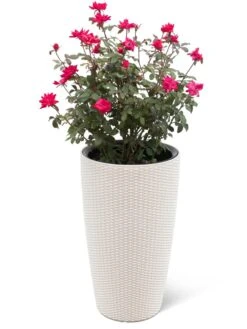 Weave Self-Watering Round Tall Planter, 12-1/2" -Garden Serie Store 8598371 3002 tif