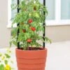 Gardenerās Victory Self-Watering Planter With Support System 2 Gardenerās Victory Self-Watering Planter With Support System -Garden Serie Store 8598384 6012 tif