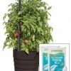 Gardener’s Victory Self-Watering Planter Garden Kit -Garden Serie Store 8598389 5000 tif