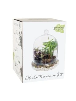 Cloche Terrarium Kit Medium -Garden Serie Store 8599148 01v