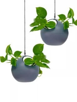 Exaco Euro Hanging Planters, Set Of 2 -Garden Serie Store 8599179 04V tif